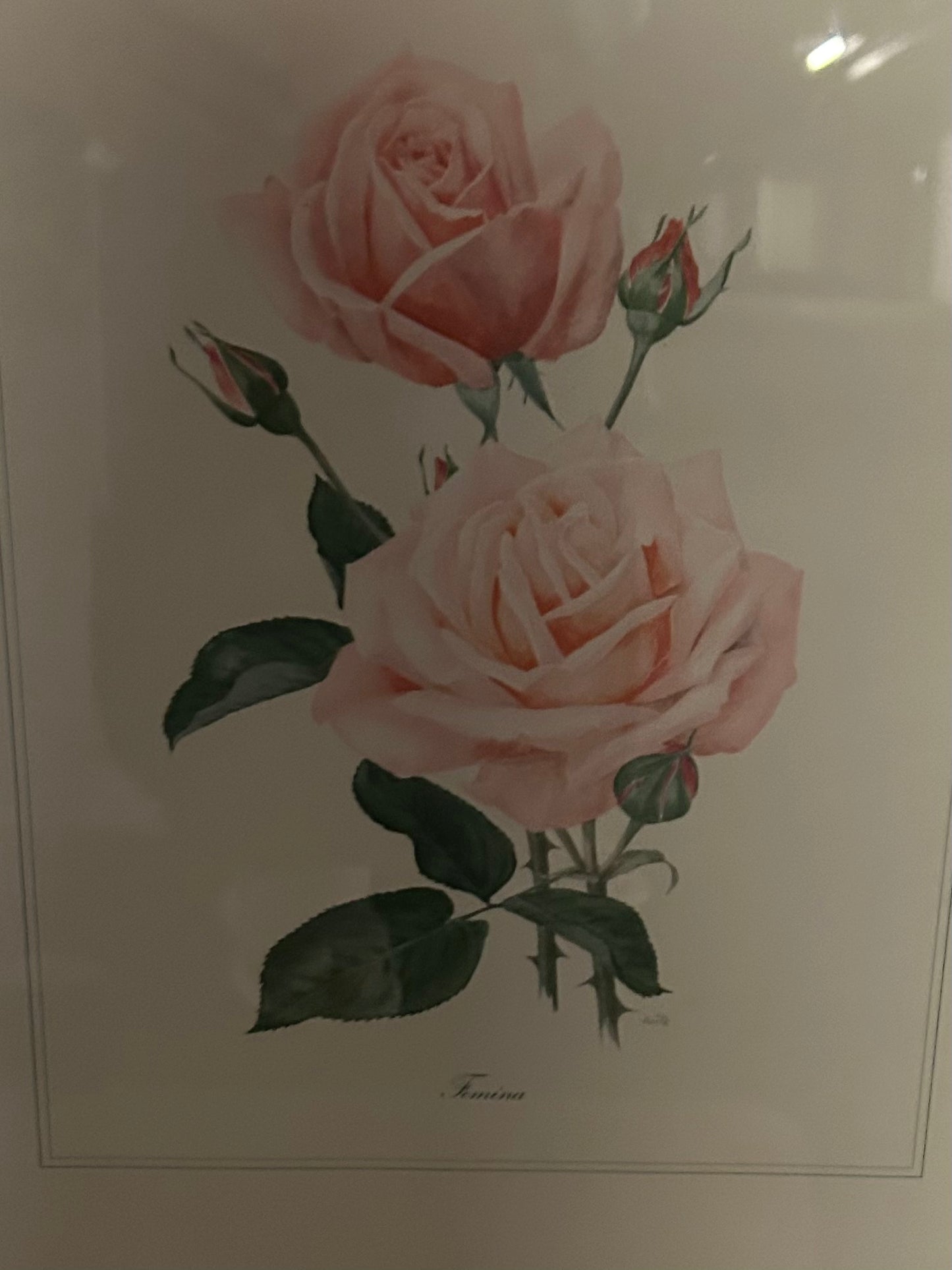 Tableau floral (Rose)