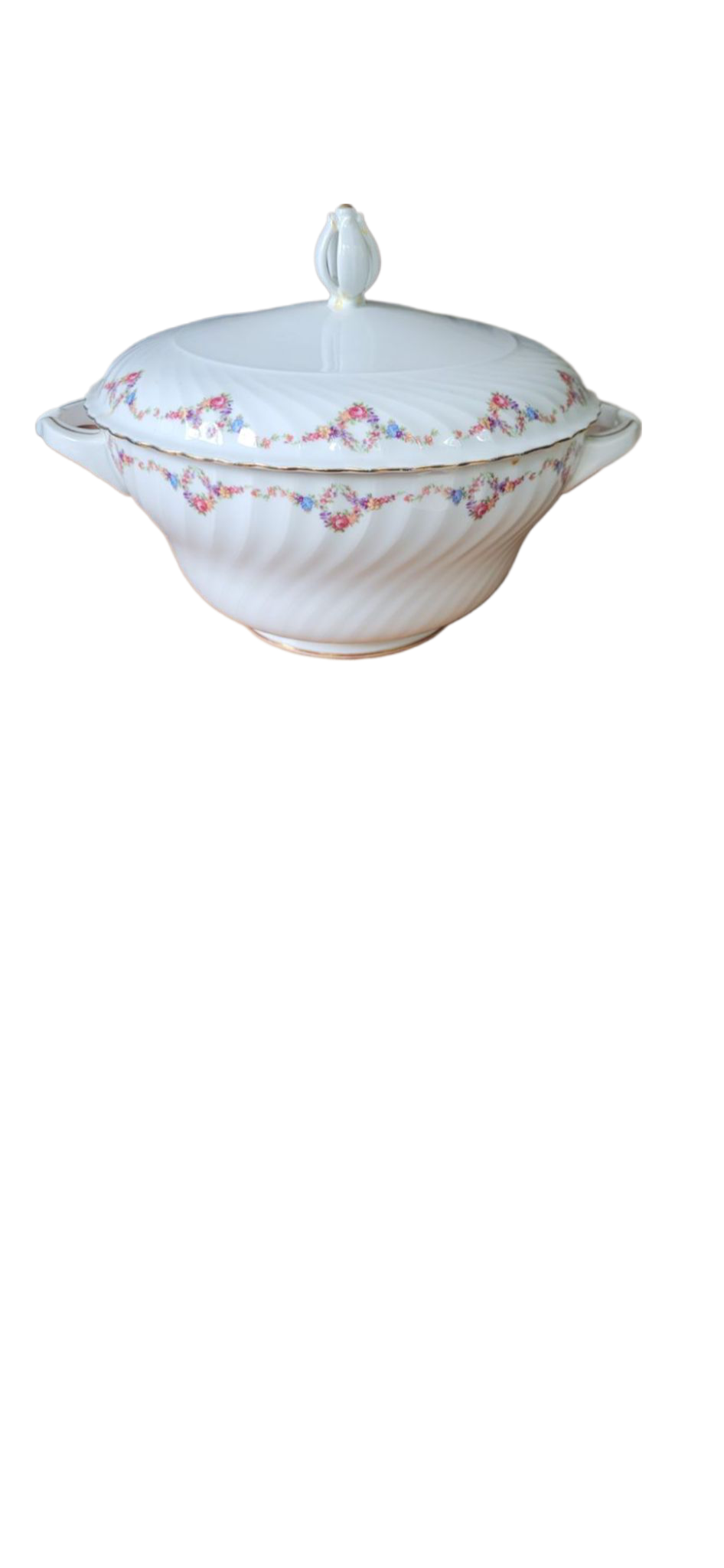 Soupière en porcelaine (Royal Tettau Allemagne)